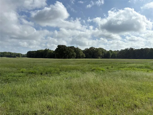 a view of a grassy field