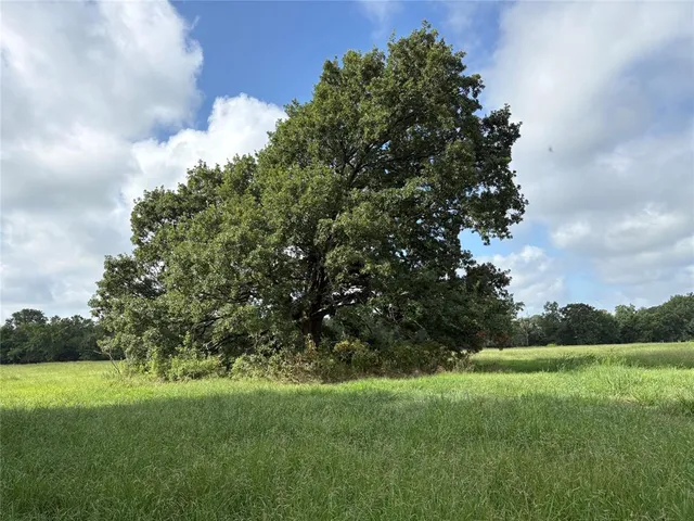 a view of a green field with wooden fence
