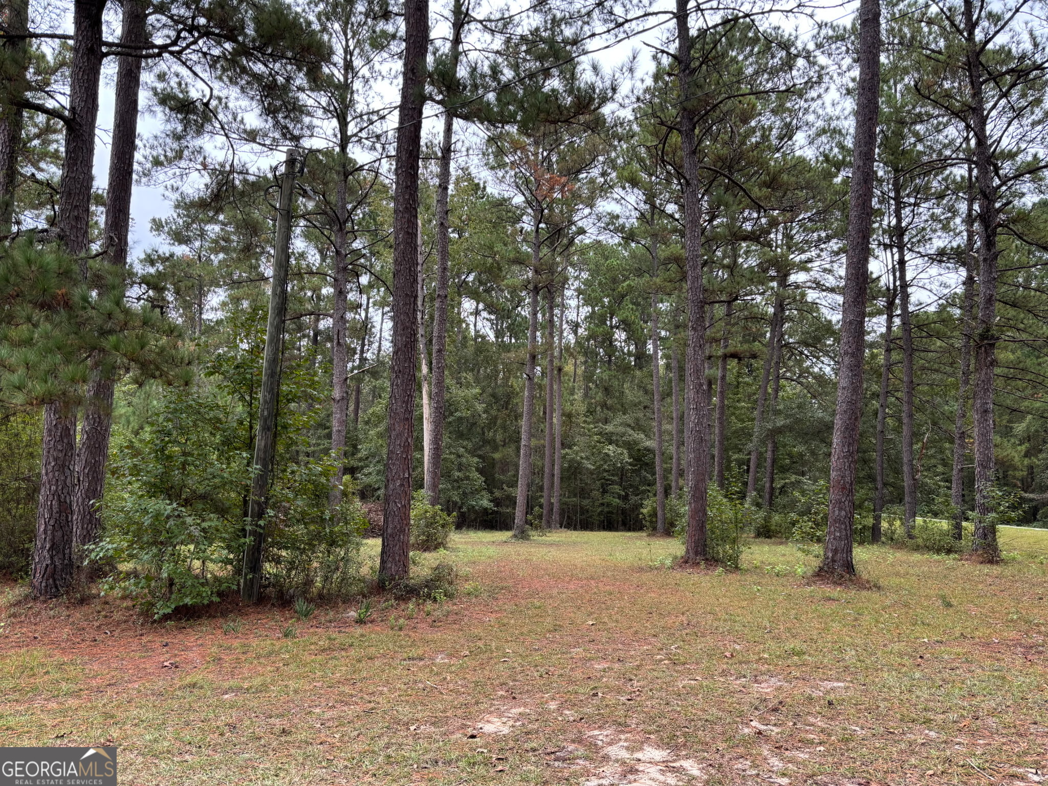0 Buttermilk Road Millen, GA 30442 - Photo 2 of 5