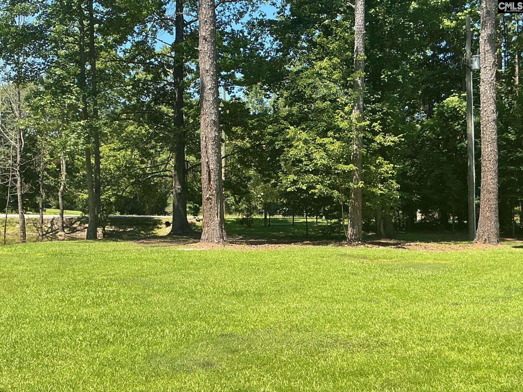 162 Baskin Hills Road Lexington, SC 29072 - Photo 57 of 58