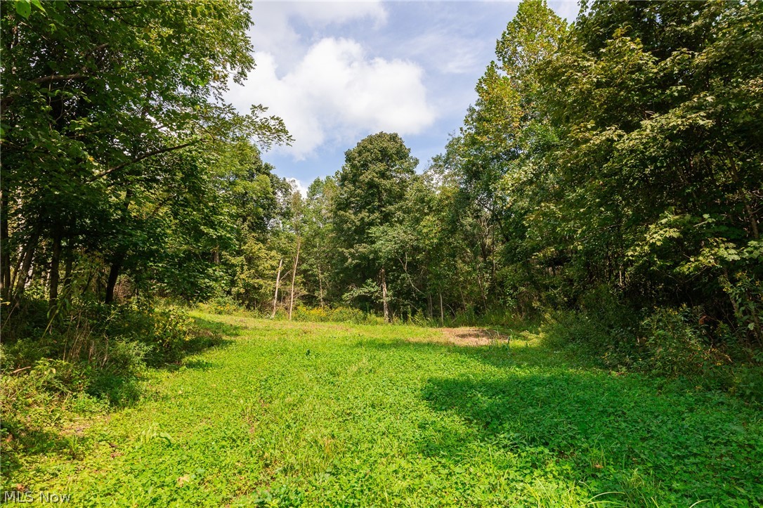 37500 Goose Run Road Dexter City, OH 45727 - Photo 16 of 50 Gallery Image 16