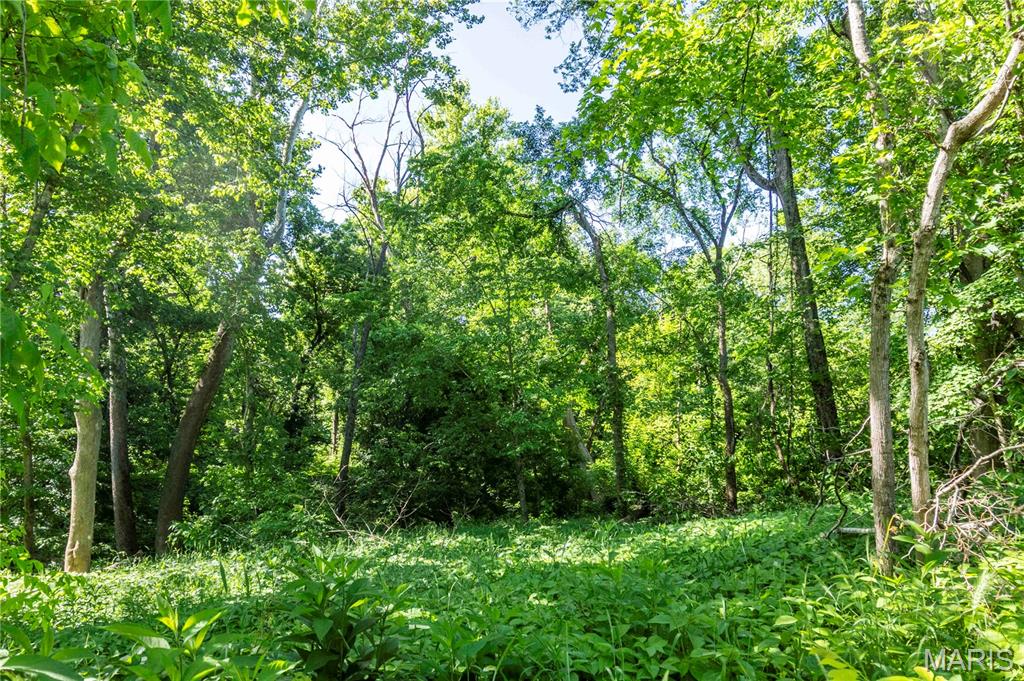 51-ac Old Ferry Road Morrison, MO 65061 - Photo 11 of 36