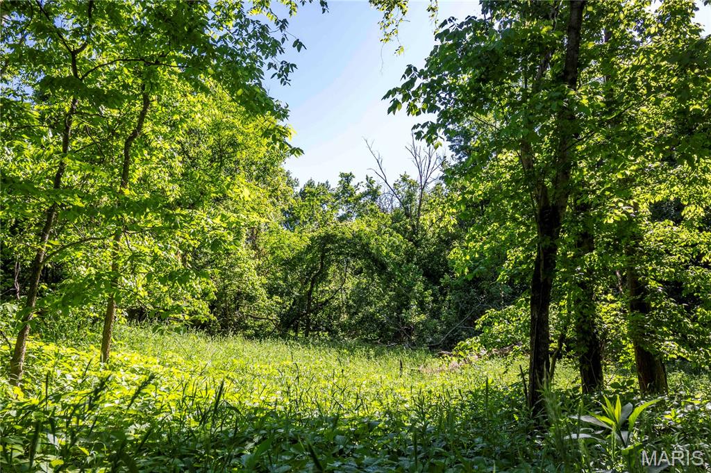 51-ac Old Ferry Road Morrison, MO 65061 - Photo 13 of 36