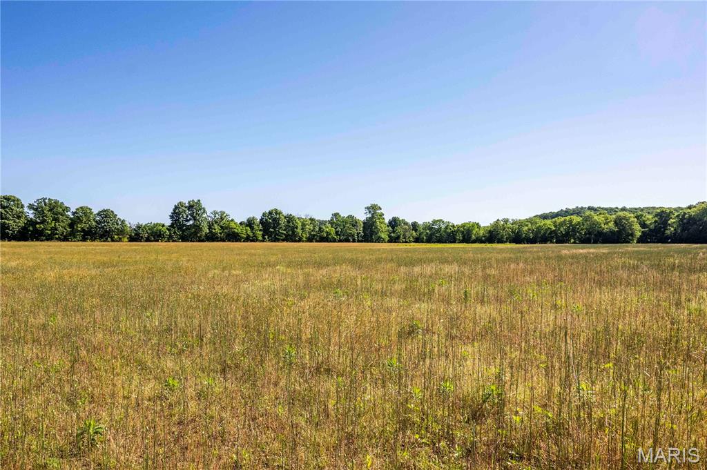 51-ac Old Ferry Road Morrison, MO 65061 - Photo 8 of 36