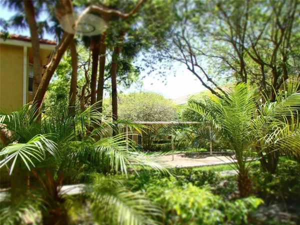 a view of garden