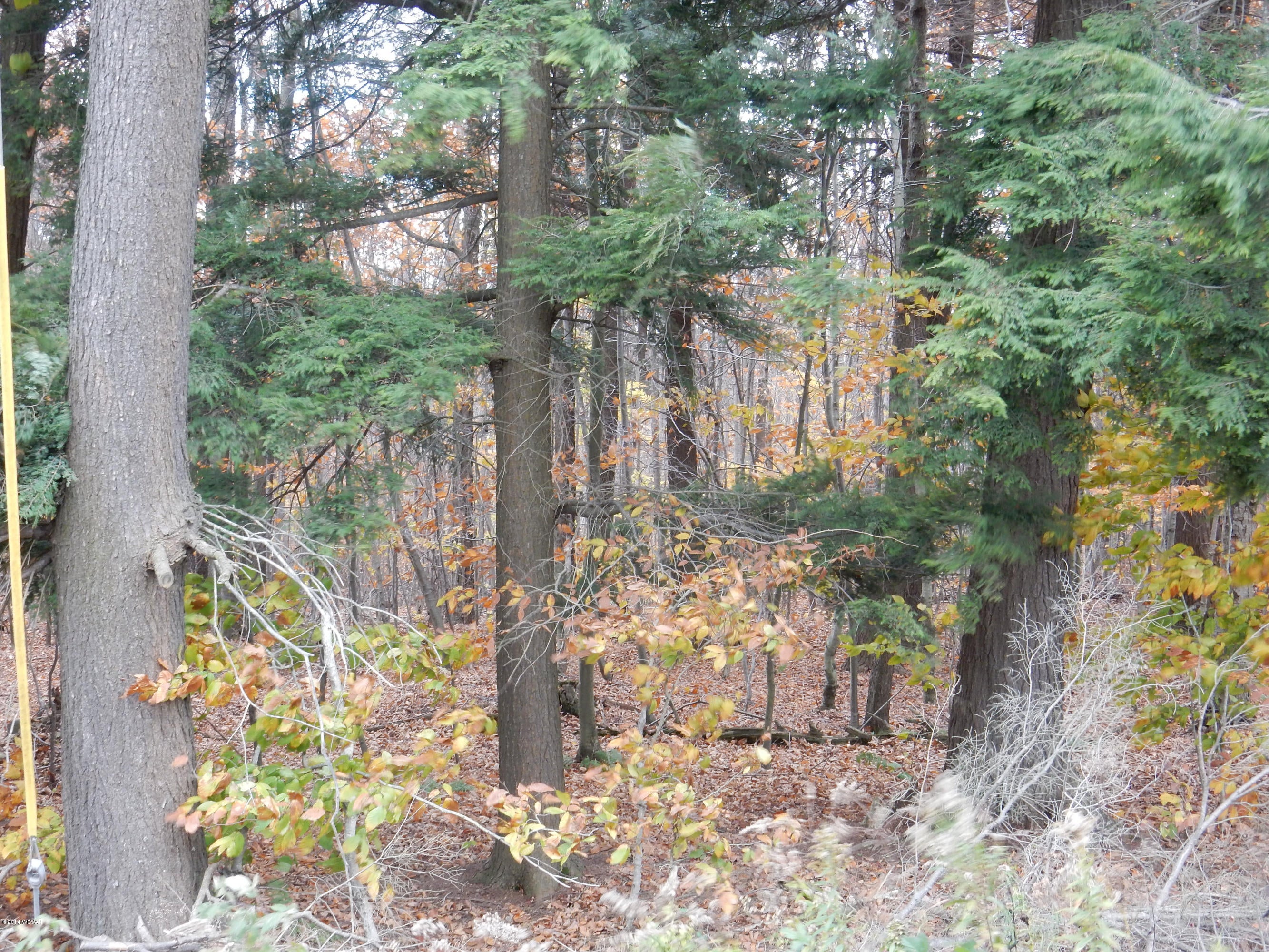 Lot 4 Hubtown Road Dushore, PA 18614 - Photo 1 of 1 hubtown lot 4