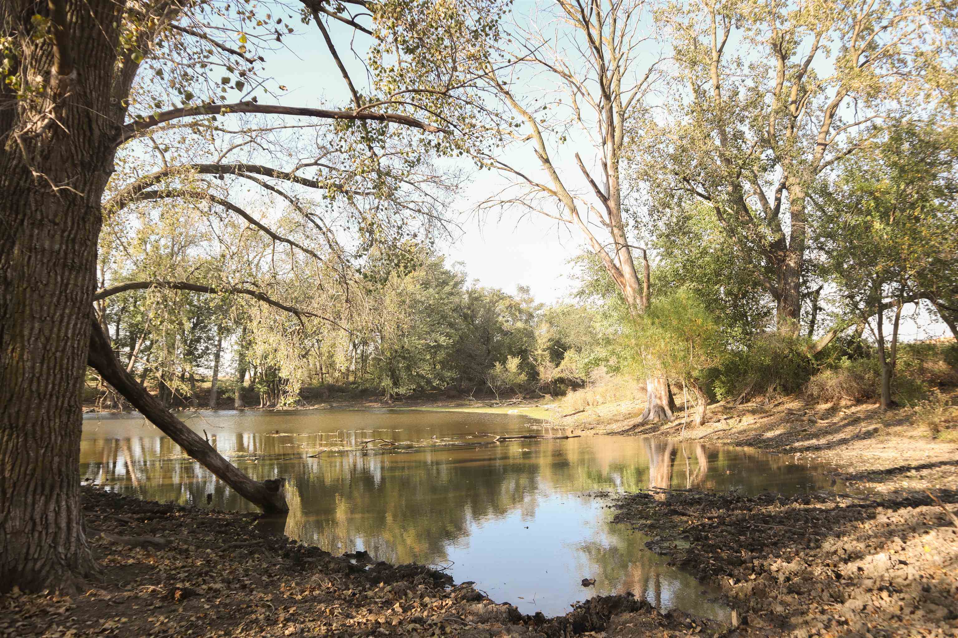 20482 Rennick Road Shullsburg, WI 53586 - Photo 15 of 18