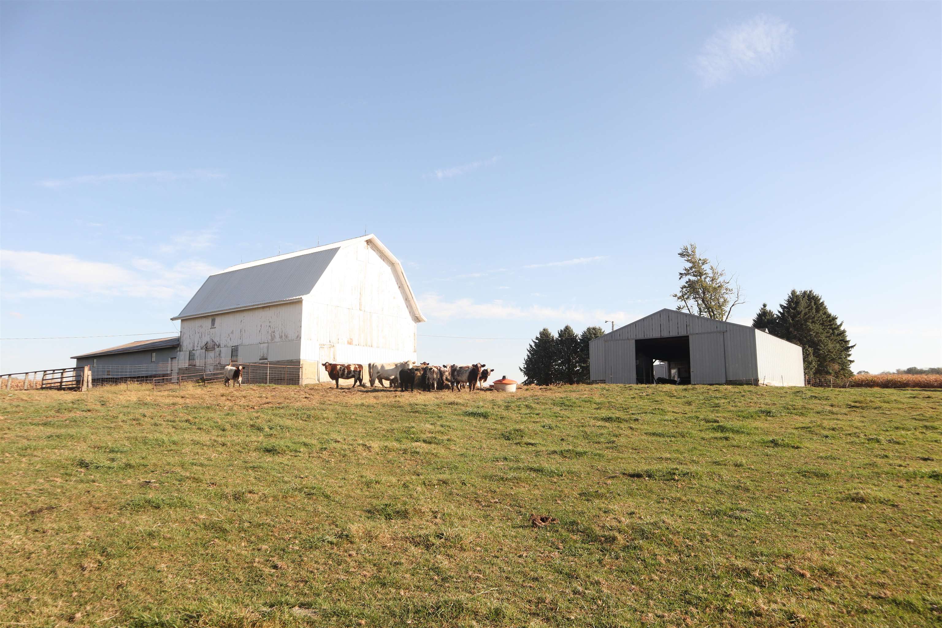 20482 Rennick Road Shullsburg, WI 53586 - Photo 5 of 18
