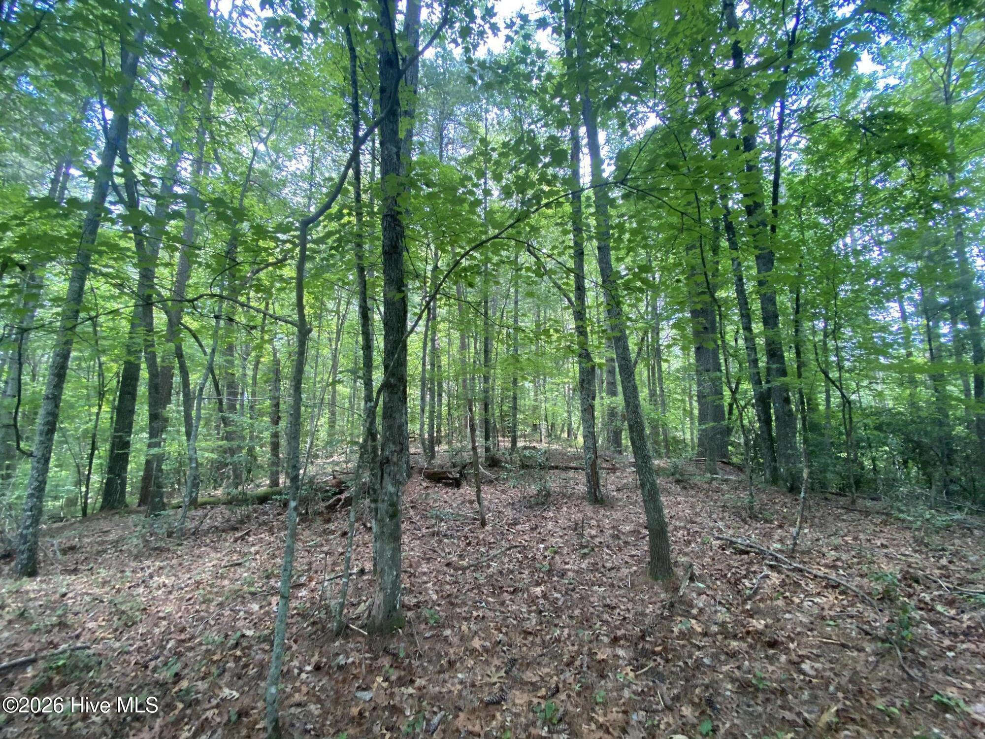 2340 Candy Mountain Road Murphy, NC 28906 - Photo 4 of 8