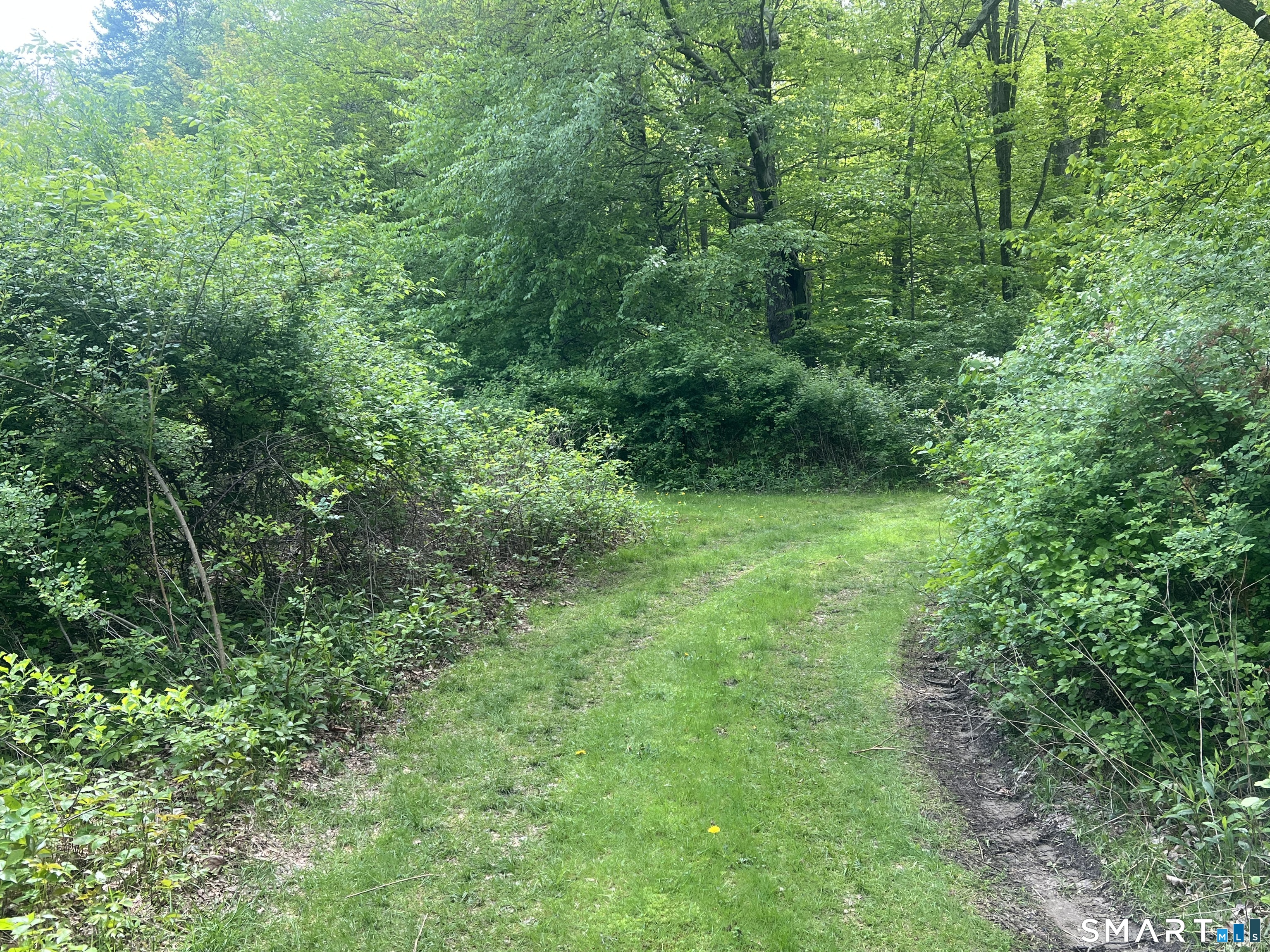 Spooner Hill Road Kent, CT 06757 - Photo 1 of 20