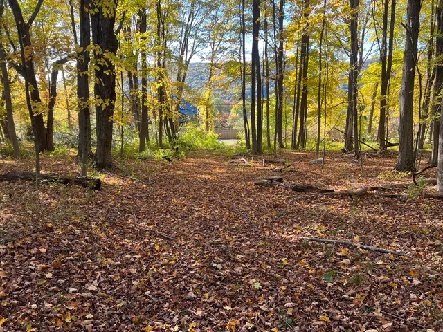 a backyard of a house with barbeque oven