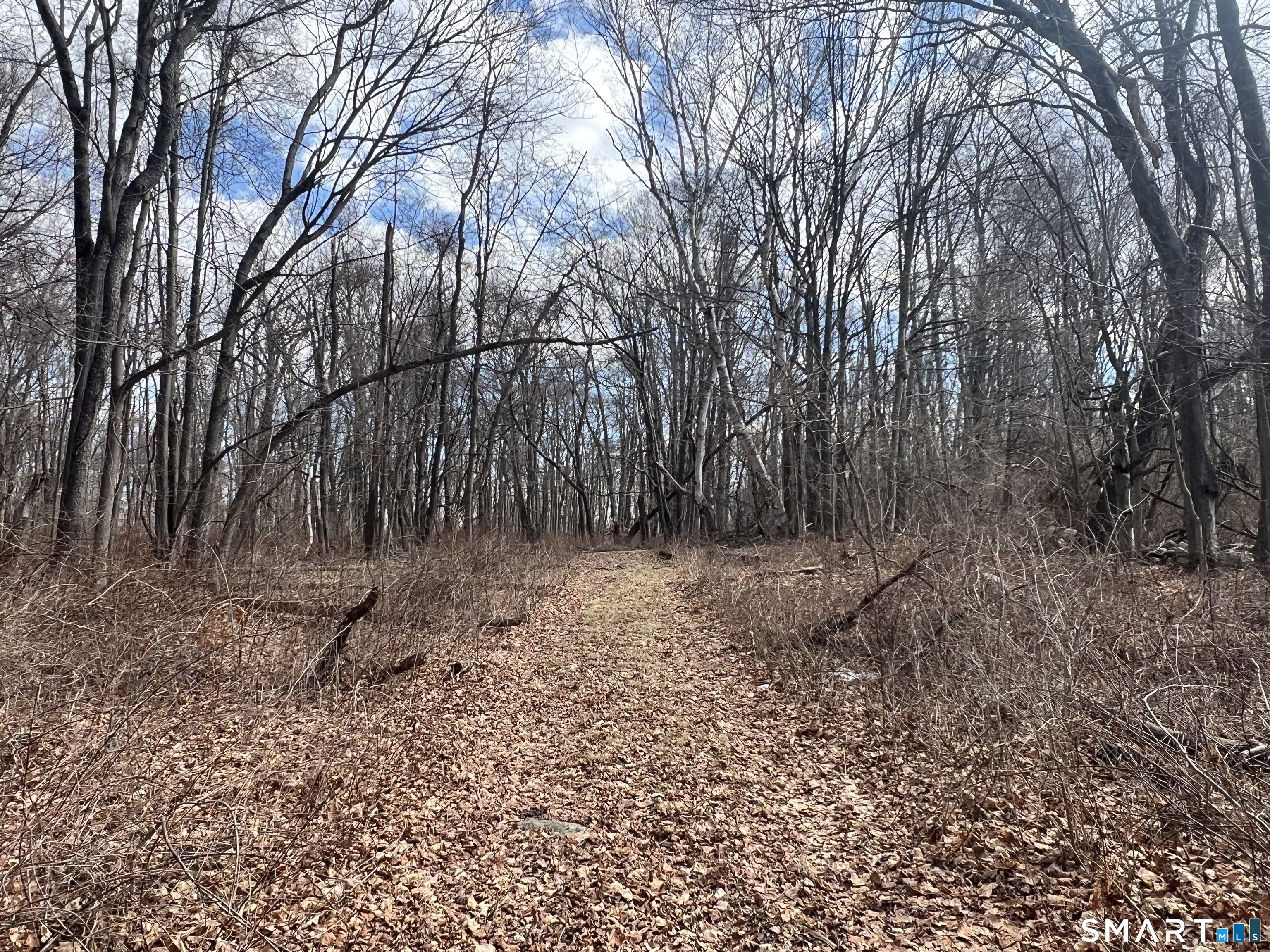 Spooner Hill Road Kent, CT 06757 - Photo 6 of 20