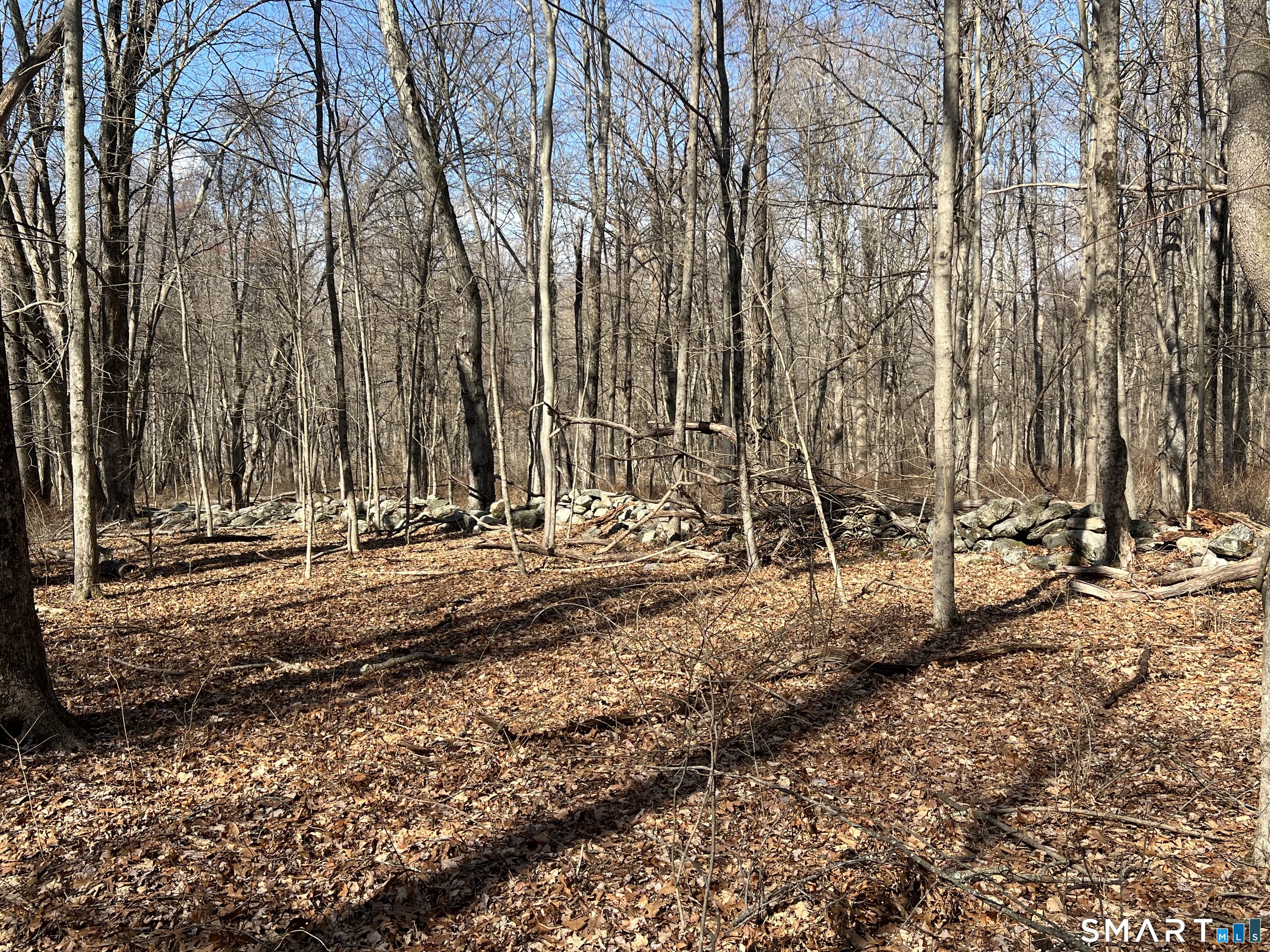 Spooner Hill Road Kent, CT 06757 - Photo 7 of 20