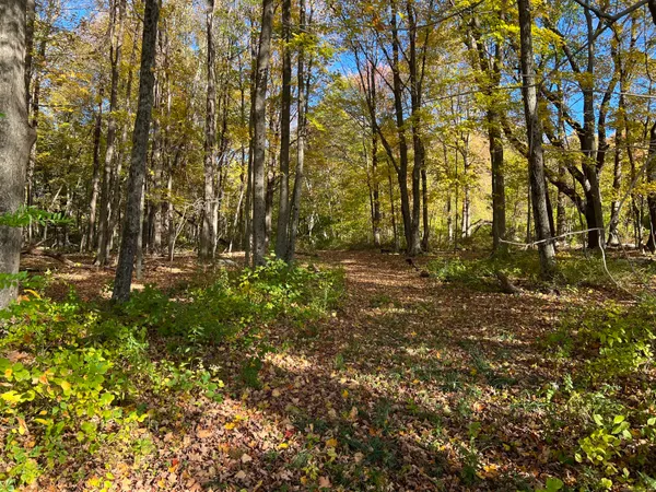 a view of outdoor space and trees