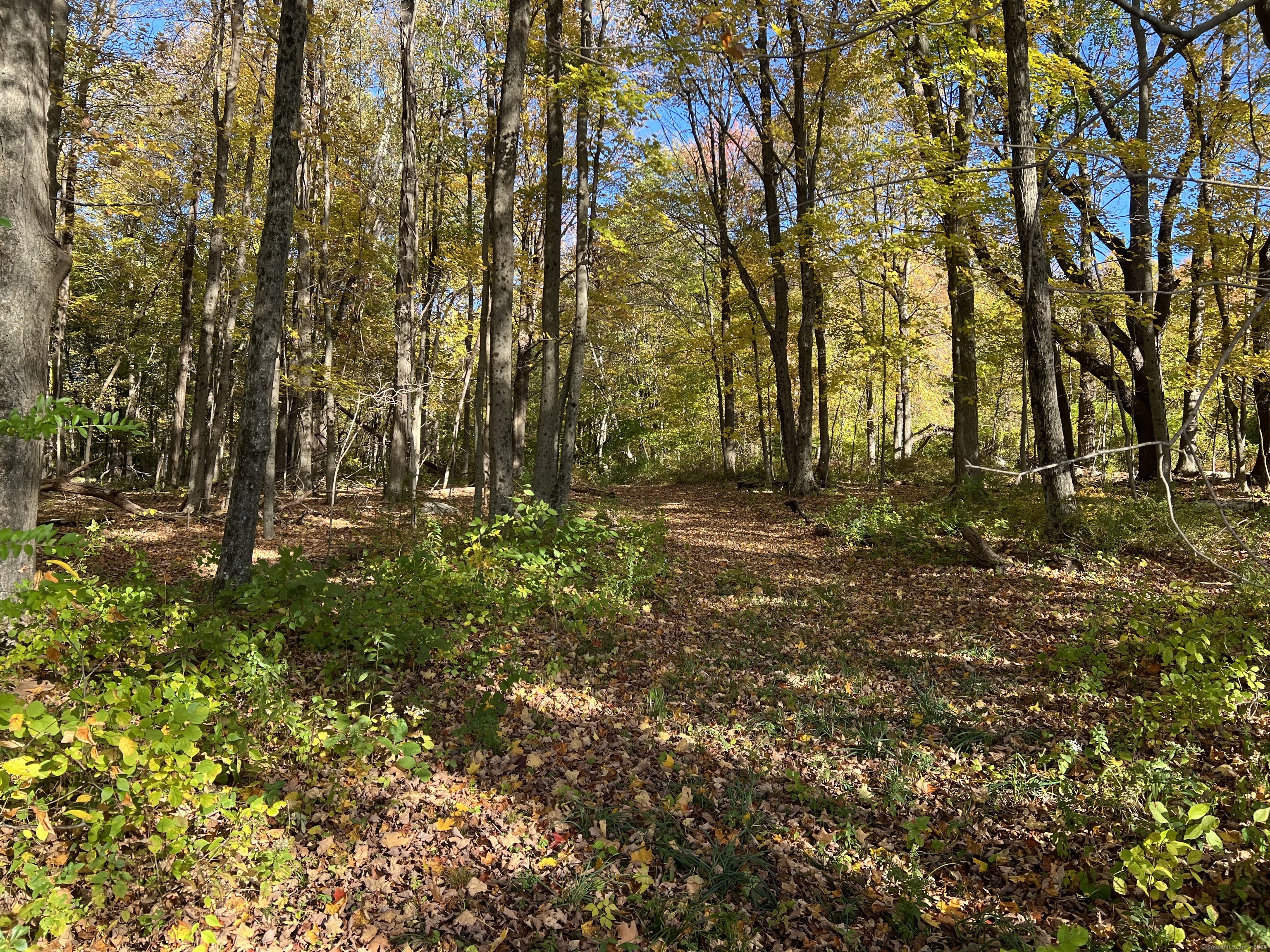 Spooner Hill Road Kent, CT 06757 - Photo 7 of 20 a view of outdoor space and trees