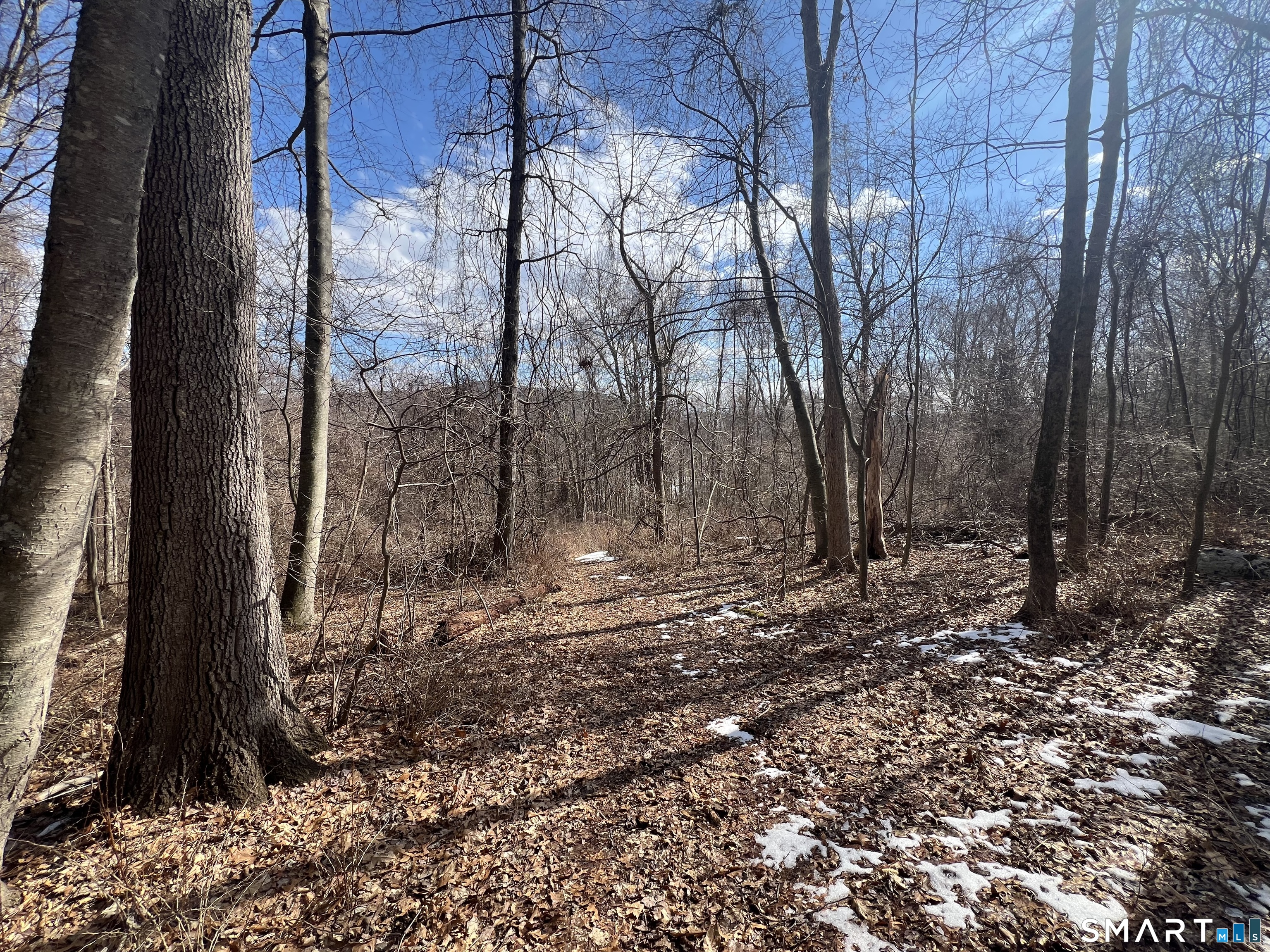 Spooner Hill Road Kent, CT 06757 - Photo 8 of 20