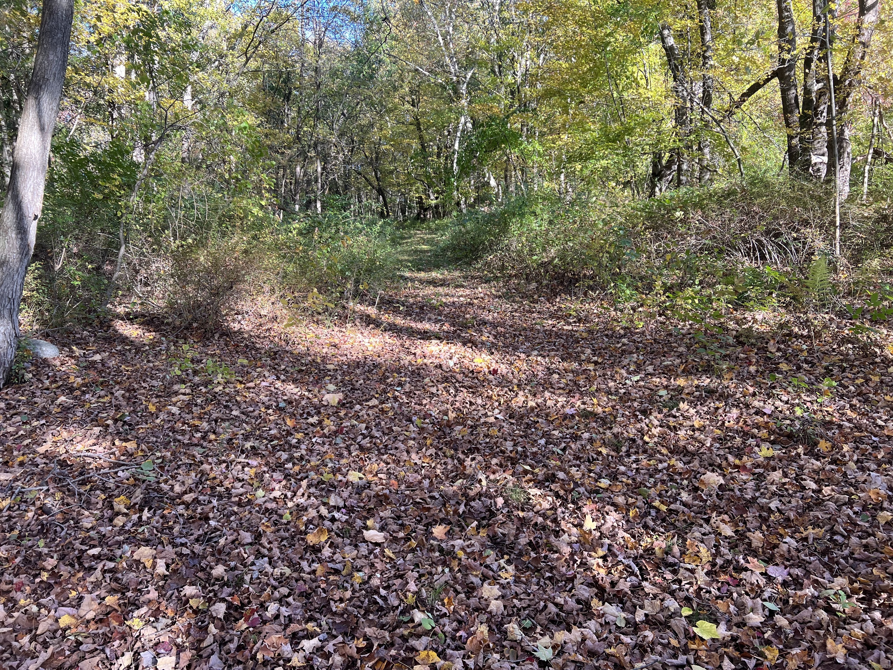 Spooner Hill Road Kent, CT 06757 - Photo 9 of 20