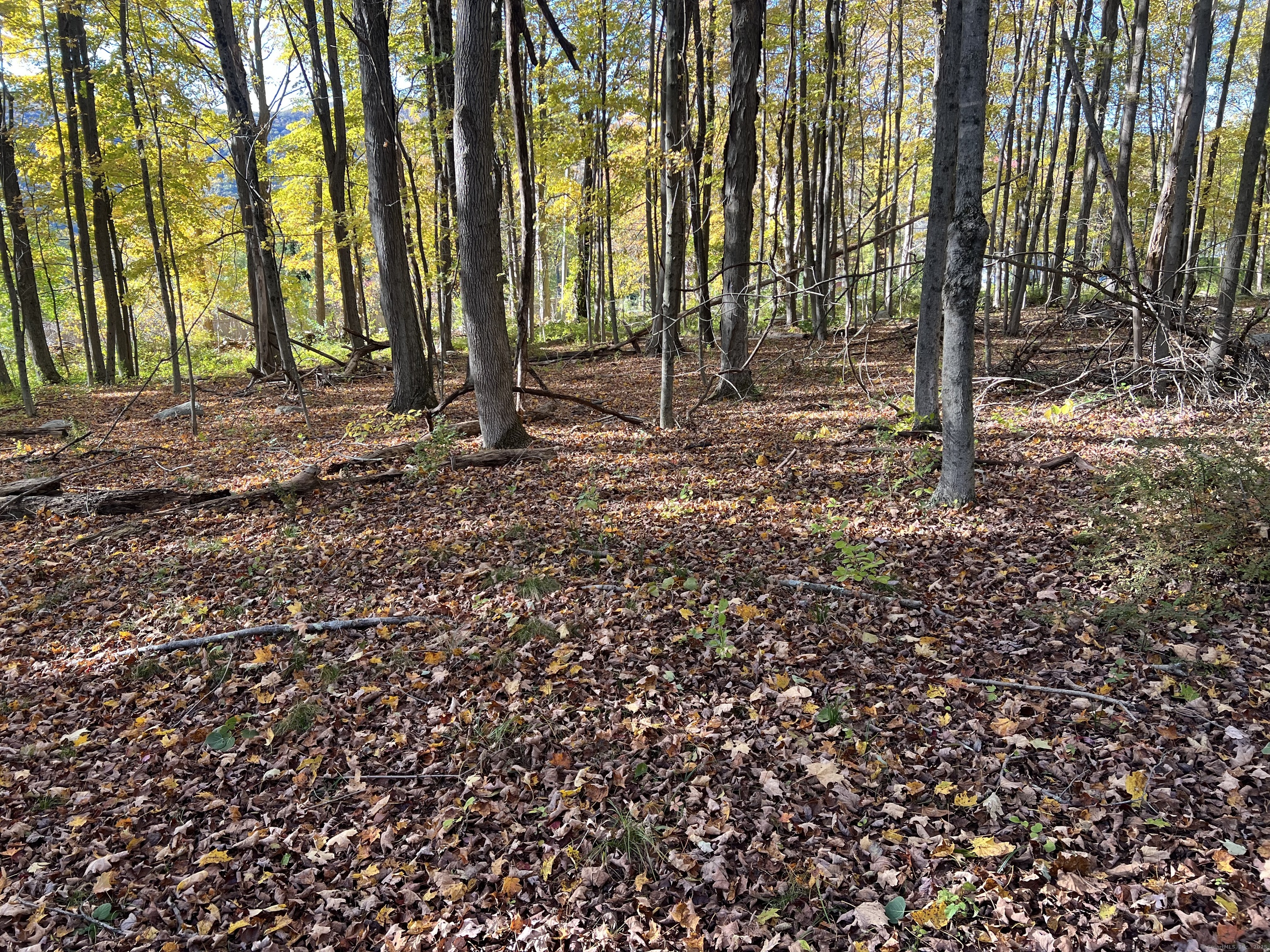 Spooner Hill Road Kent, CT 06757 - Photo 10 of 20