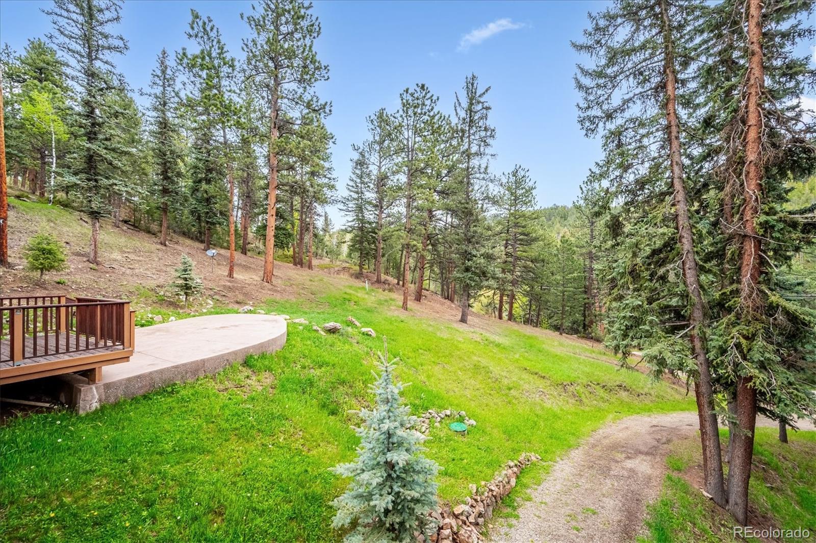 6747 South Brook Forest Road Evergreen, CO 80439 - Photo 5 of 49 a view of outdoor space and yard