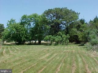 13065 Riggin Ridge Road Ocean City, MD 21842 - Photo 3 of 7 Gallery Image 3
