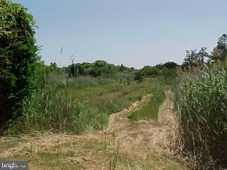 13065 Riggin Ridge Road Ocean City, MD 21842 - Photo 7 of 7 Gallery Image 7