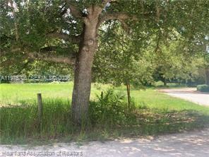 2326 West Barben Road Avon Park, FL 33825 - Photo 18 of 30