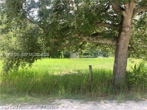 2326 West Barben Road Avon Park, FL 33825 - Photo 19 of 30