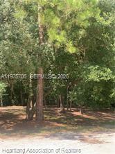 2326 West Barben Road Avon Park, FL 33825 - Photo 22 of 30