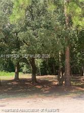 2326 West Barben Road Avon Park, FL 33825 - Photo 24 of 30