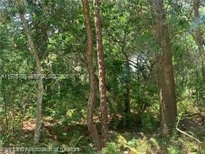 2326 West Barben Road Avon Park, FL 33825 - Photo 25 of 30