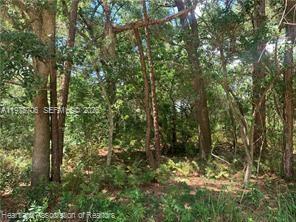 2326 West Barben Road Avon Park, FL 33825 - Photo 26 of 30