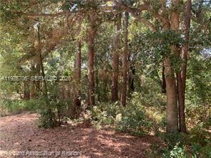 2326 West Barben Road Avon Park, FL 33825 - Photo 27 of 30