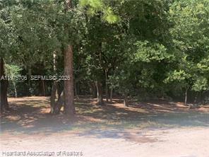 2326 West Barben Road Avon Park, FL 33825 - Photo 4 of 30