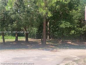 2326 West Barben Road Avon Park, FL 33825 - Photo 5 of 30