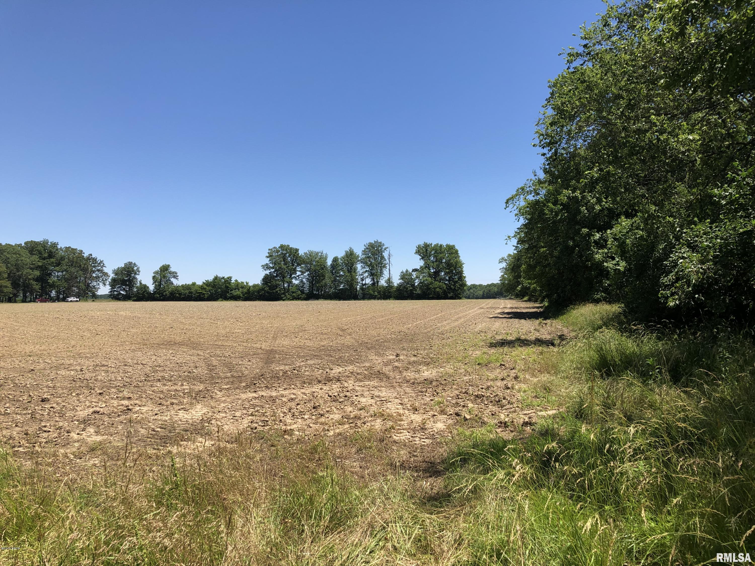 11673 Wilson Road Benton, IL 62812 - Photo 13 of 22