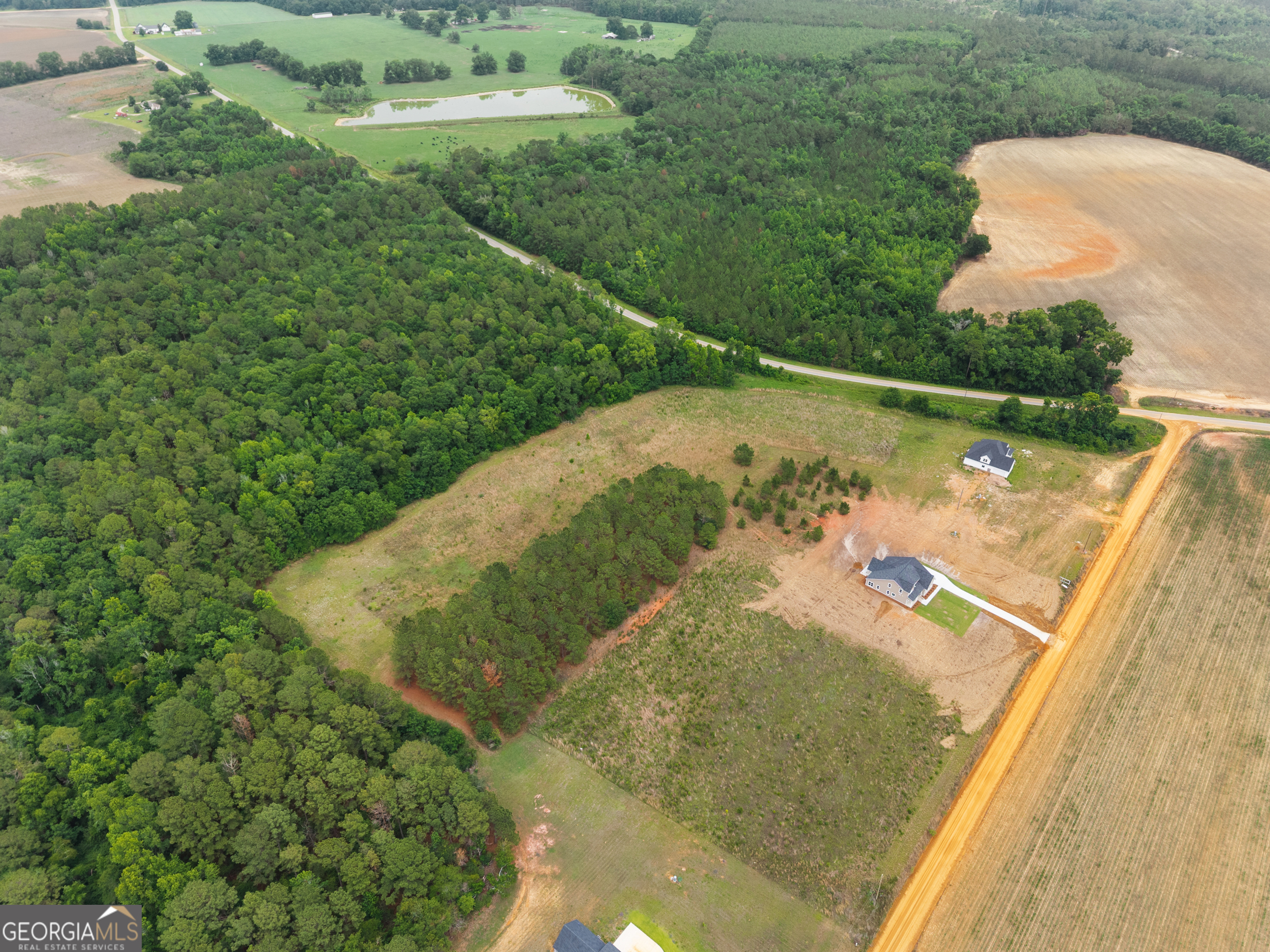 3167 Jason Franklin Road Register, GA 30452 - Photo 41 of 50