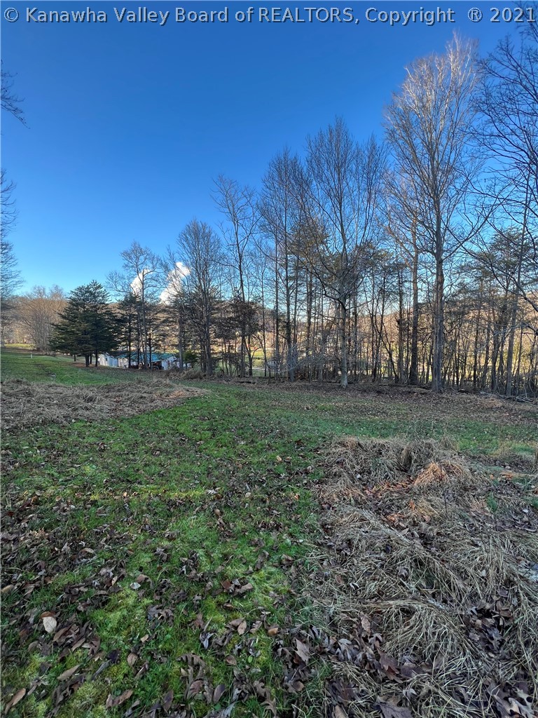 2296 Poca River Road South Poca, WV 25159 - Photo 4 of 10 Gallery Image 4