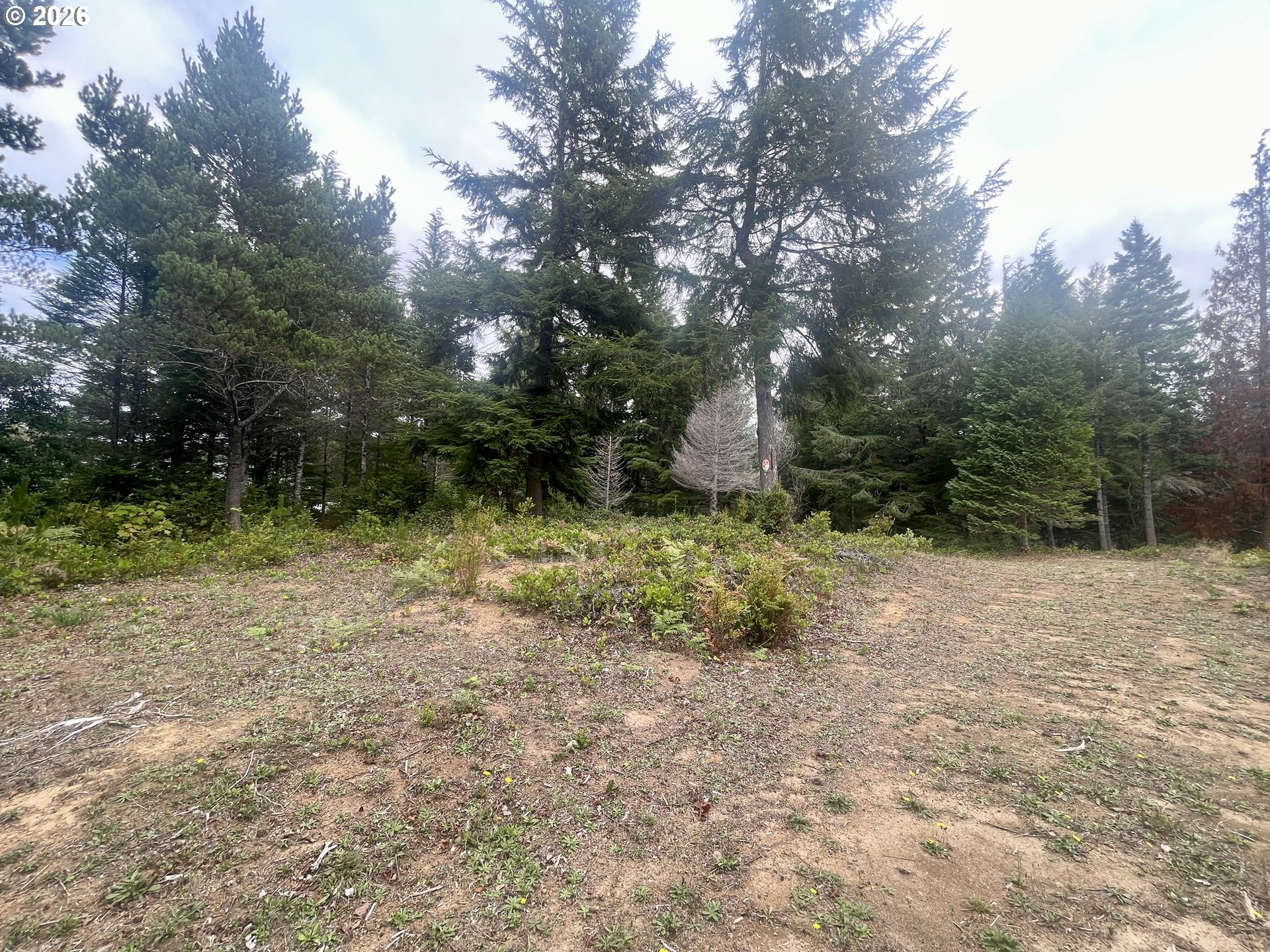 Sandpoint Road North Bend, OR 97459 - Photo 21 of 29 Gallery Image 21