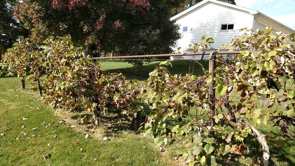 4021 Vista Road Ely, IA 52227 - Photo 11 of 25 Gallery Image 11