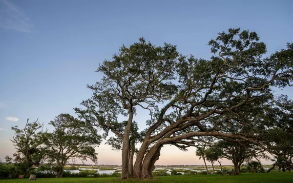 $555,000 | 702 Queen Road, St. Augustine, FL 32086