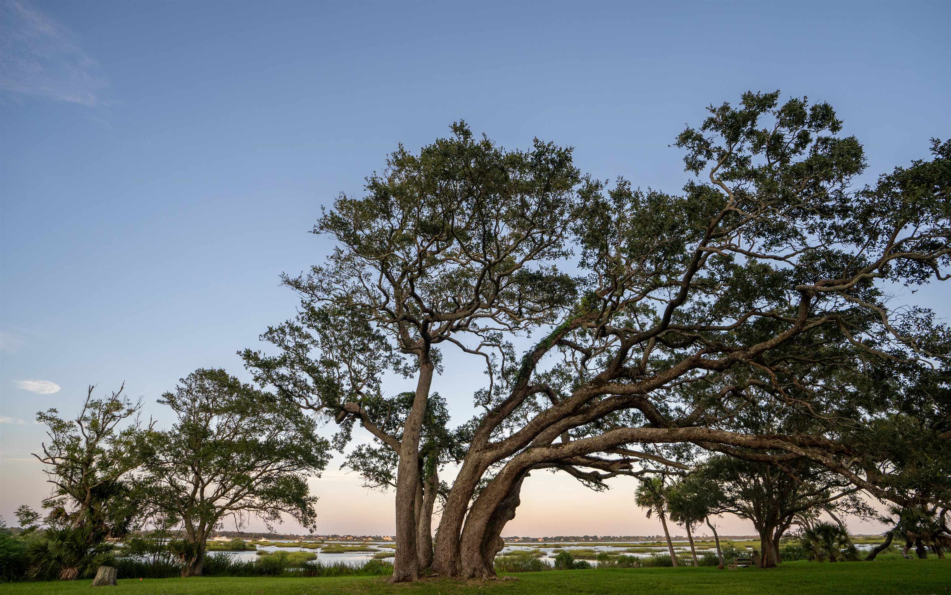 702 Queen Road St. Augustine, FL 32086 - Photo 64 of 71