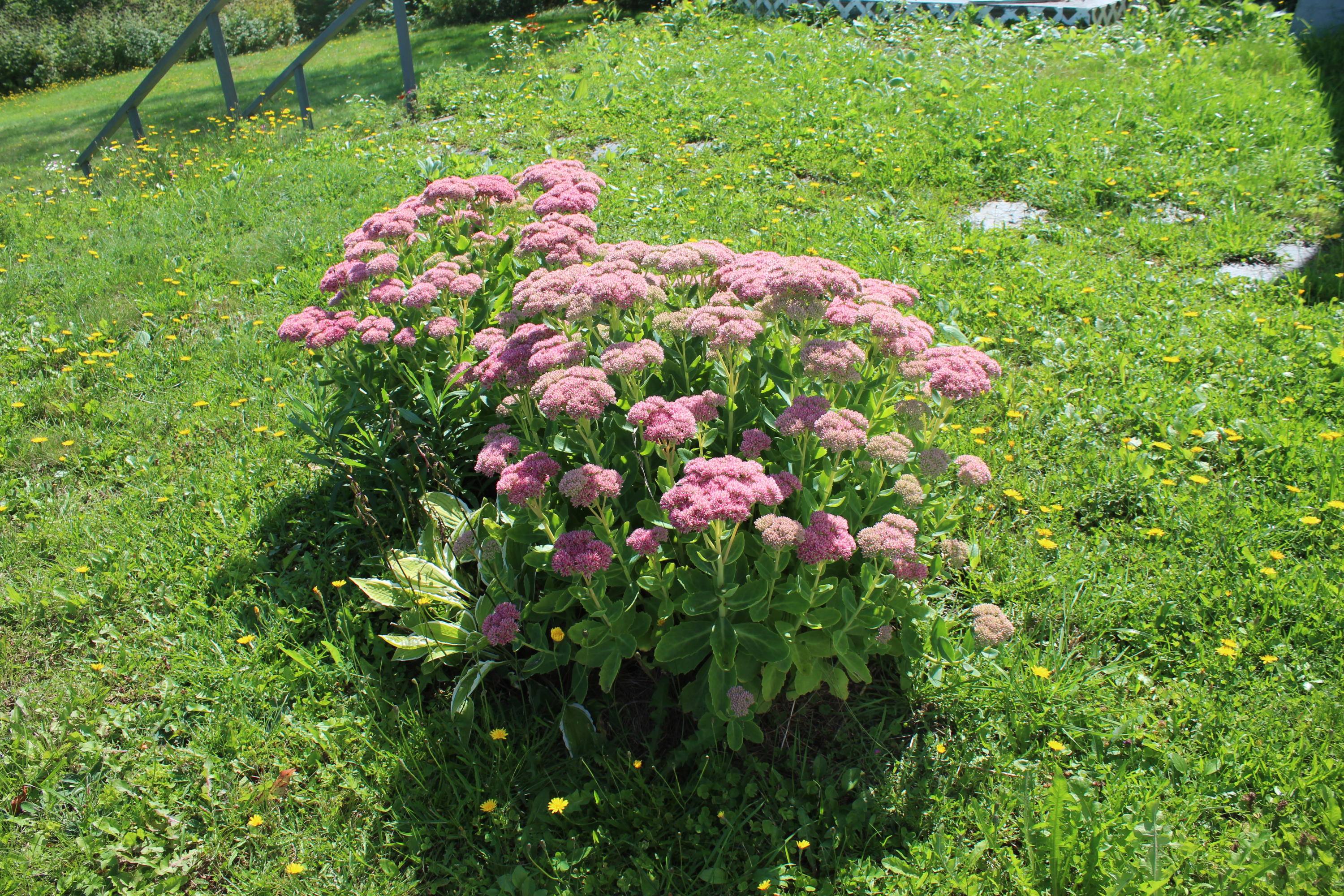 37 North Road Patten, ME 04765 - Photo 16 of 25 IMG_1744