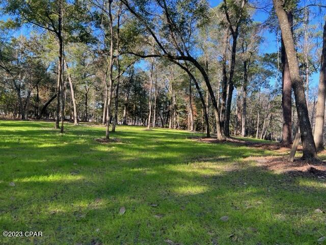 2980 Paradise Lakes Road Chipley, FL 32428 - Photo 24 of 32
