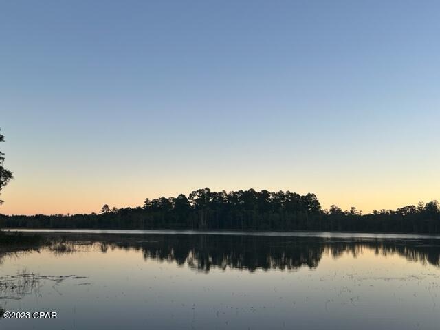 2980 Paradise Lakes Road Chipley, FL 32428 - Photo 7 of 32