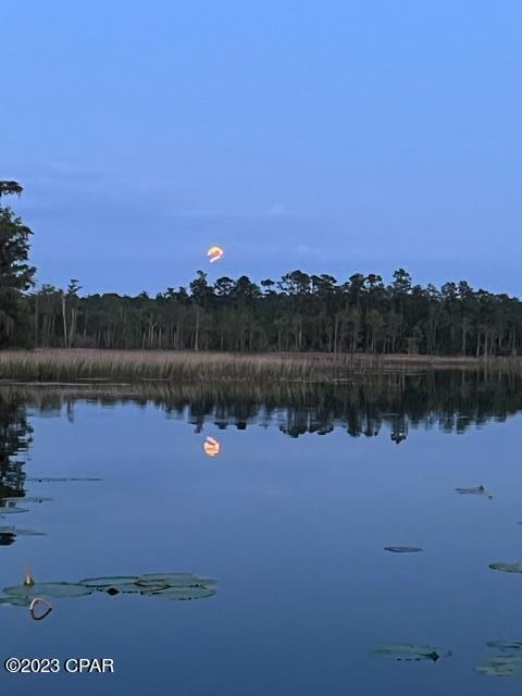 2980 Paradise Lakes Road Chipley, FL 32428 - Photo 8 of 32