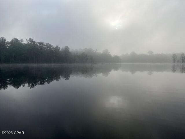 2980 Paradise Lakes Road Chipley, FL 32428 - Photo 9 of 32