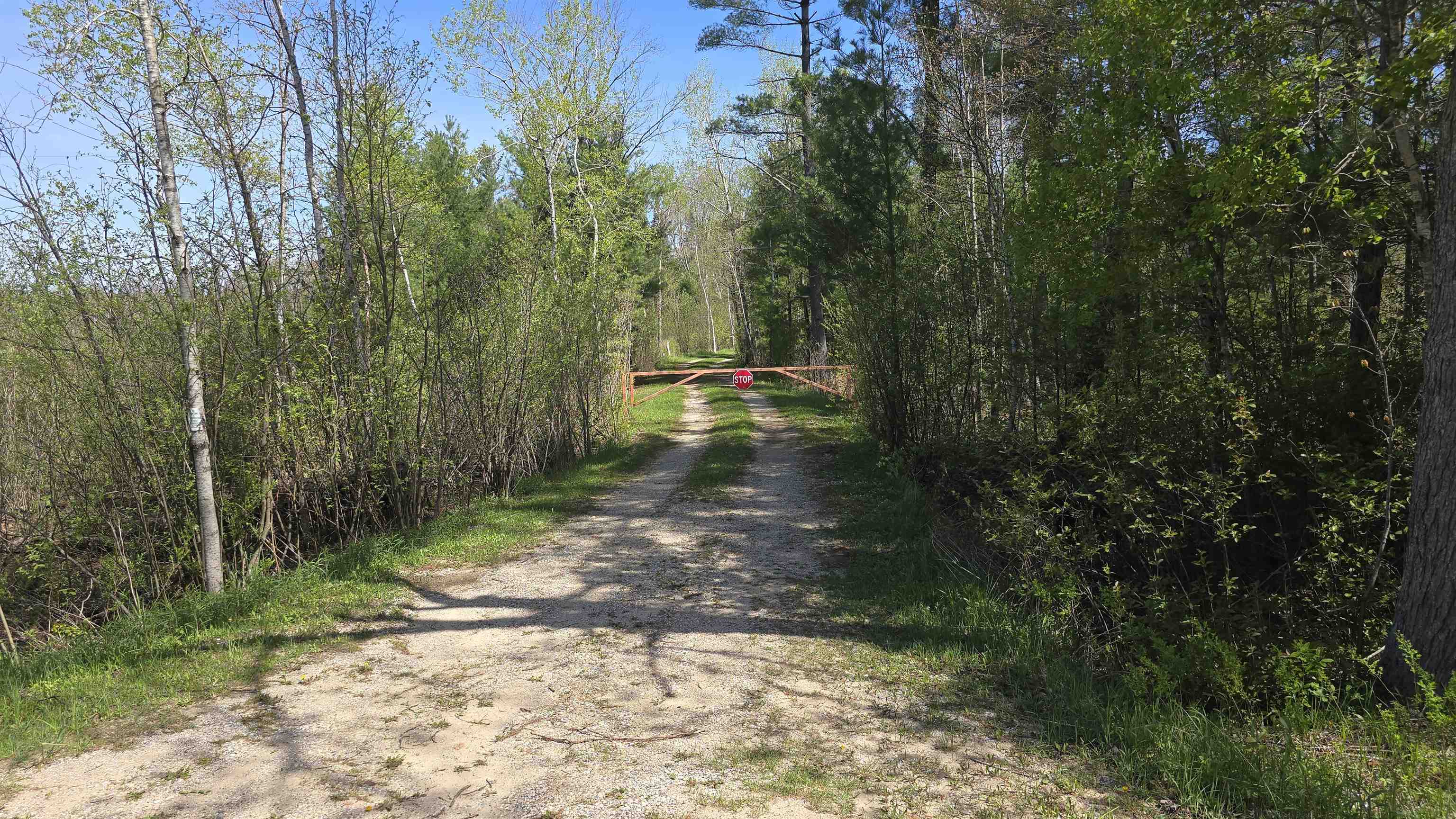 0 Lund Road Southwest Fife Lake, MI 49633 - Photo 22 of 39