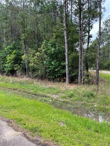 0 Labostrie Road Lacombe, LA 70445 - Photo 2 of 2 Gallery Image 2