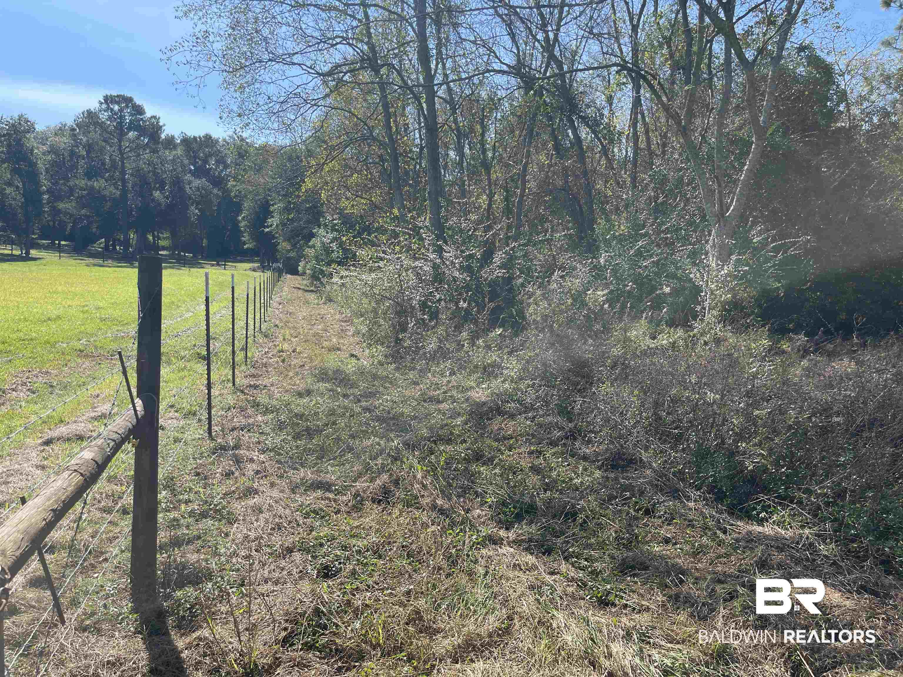 0 Fackler Road Loxley, AL 36551 - Photo 6 of 11 View of local wilderness