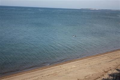 270 Field Road Eastham, MA 02642 - Photo 12 of 12 Additional Photo